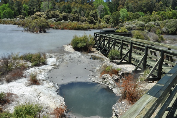 Whakanuia Track