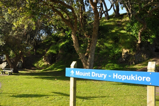 Mount Drury Reserve