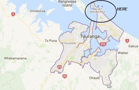 tauranga map