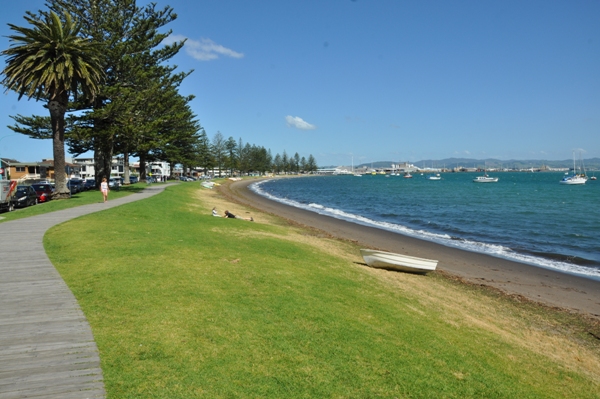 tauranga 