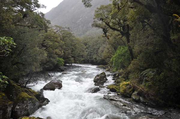 milford sound