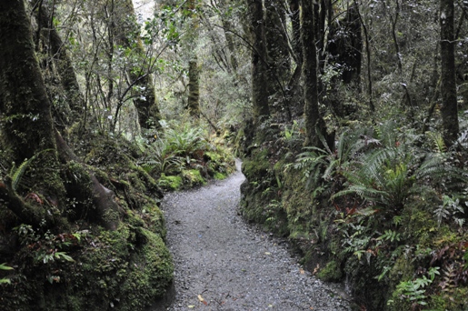 chasm track