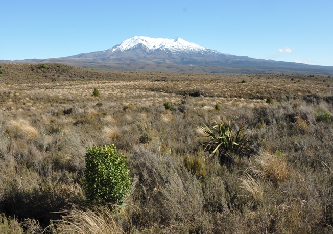 Mt. Ruapehu 