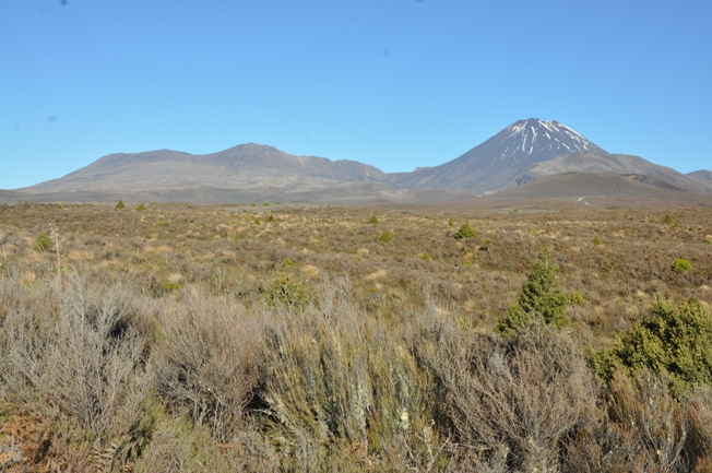 Tongariro National Park 