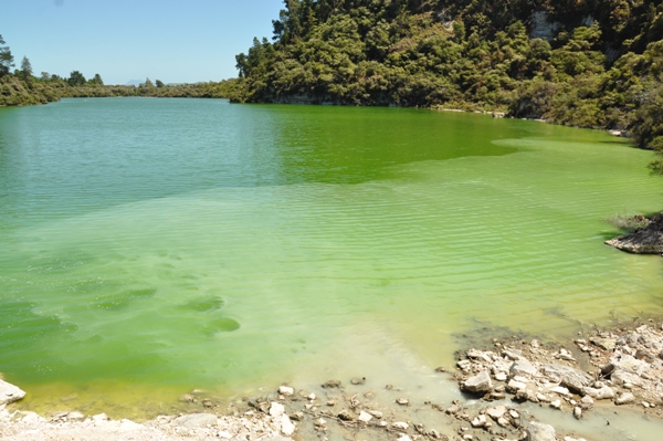 Lake Ngakoro 