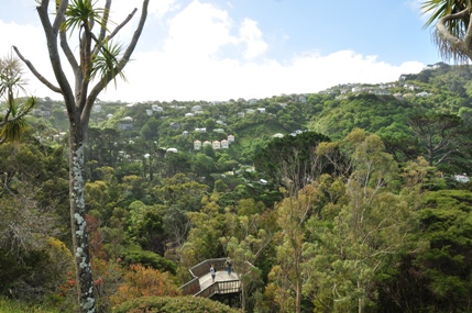 Wellington Botanic Gardens