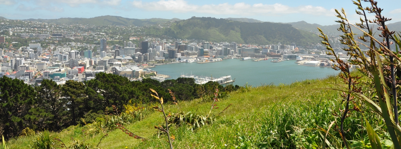 wellington