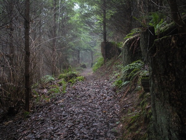 pacific northwest trail