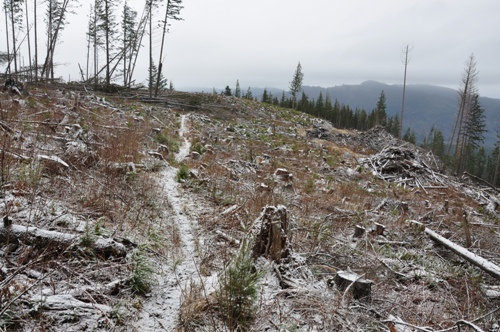 pacific northwest trail