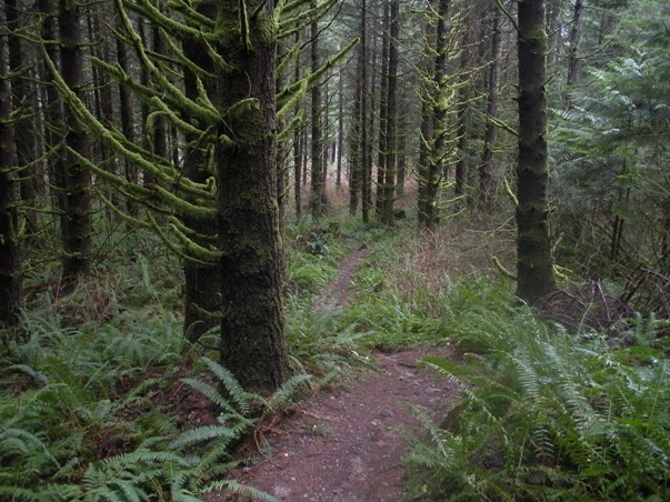 pacific northwest trail