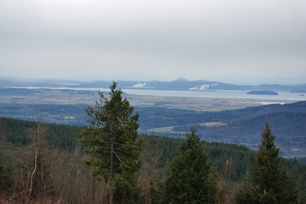 Samish Bay