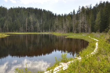 Beaver Plant Lake