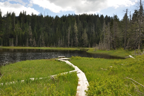 Beaver Plant Lake