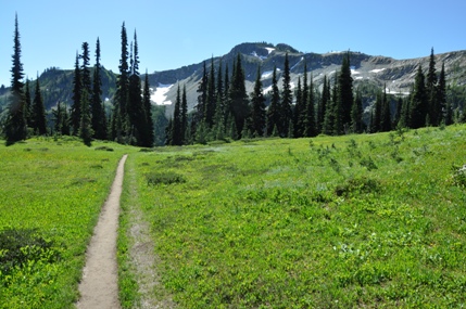 Heather Pass