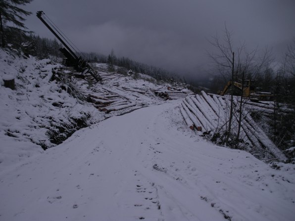 Logging operations