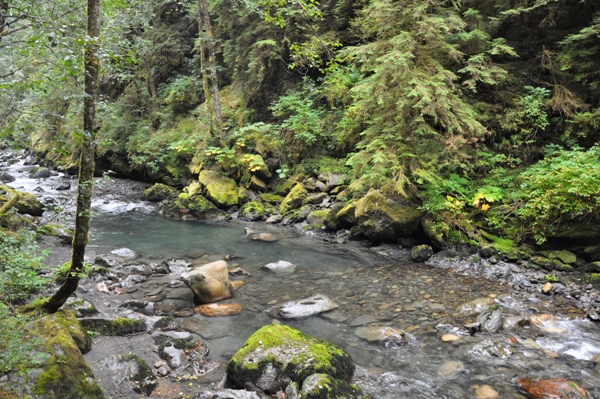 boulder river 