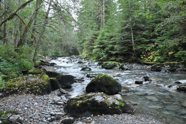 boulder river 