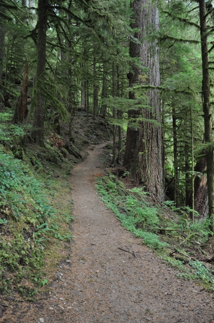 boulder river trail