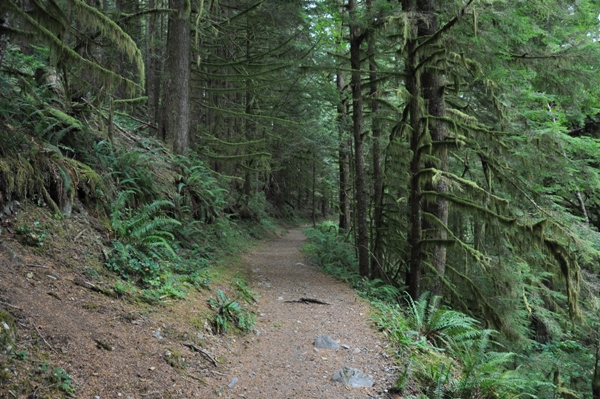 boulder river trail