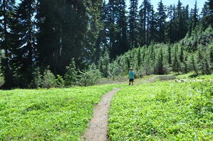 Dock Butte Trail