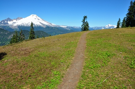 mount baker