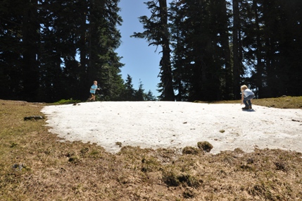 mount baker