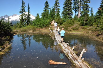 dock butte