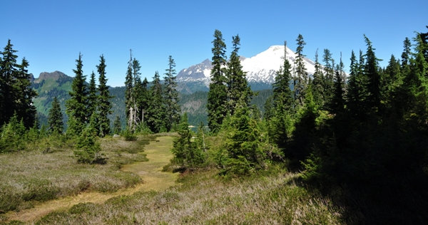 mount baker