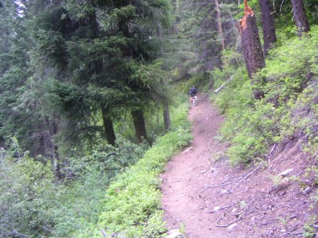 Wolf Creek Trail