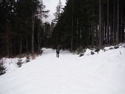 lake whatcom park