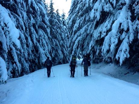 glacier creek road