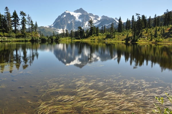 Picture Lake 