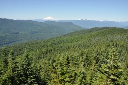 Mount Baker