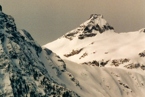 Paul Bunyons Stump