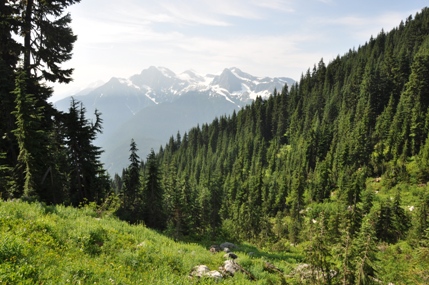 north cascades