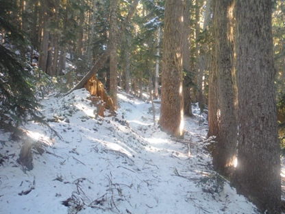 sulphur mountain trail