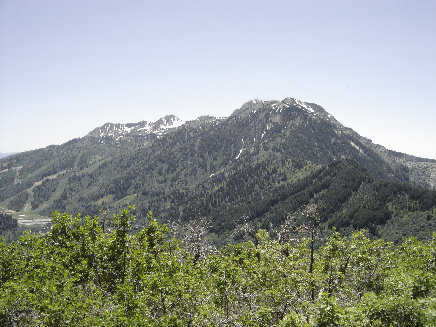 Mt. Ogden 