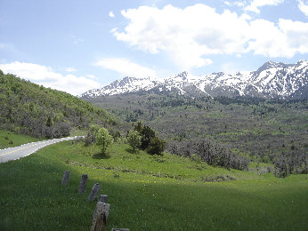 Mt. Ogden ridge 