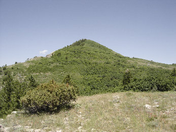 Sardine Peak