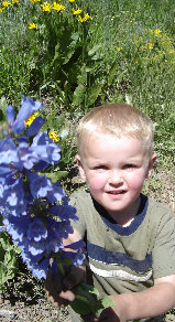 Snowbasin flowers