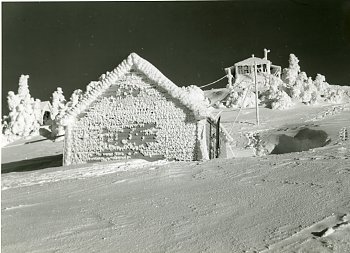 hurricane shed