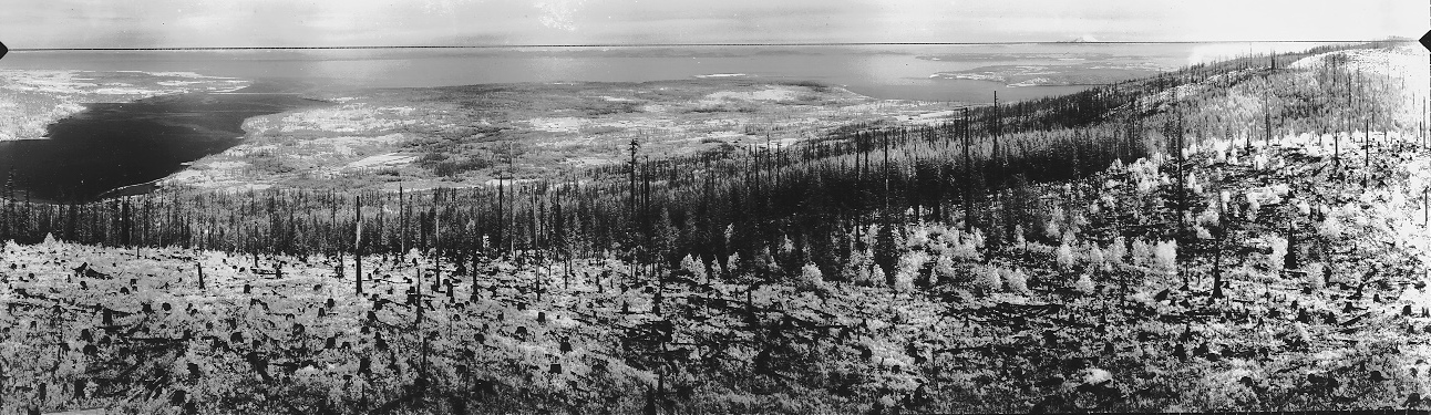 blyn lookout 