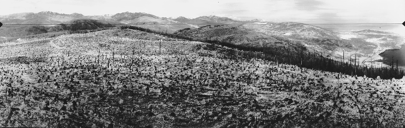 blyn lookout 