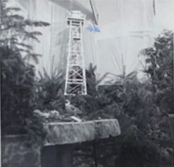 blyn lookout