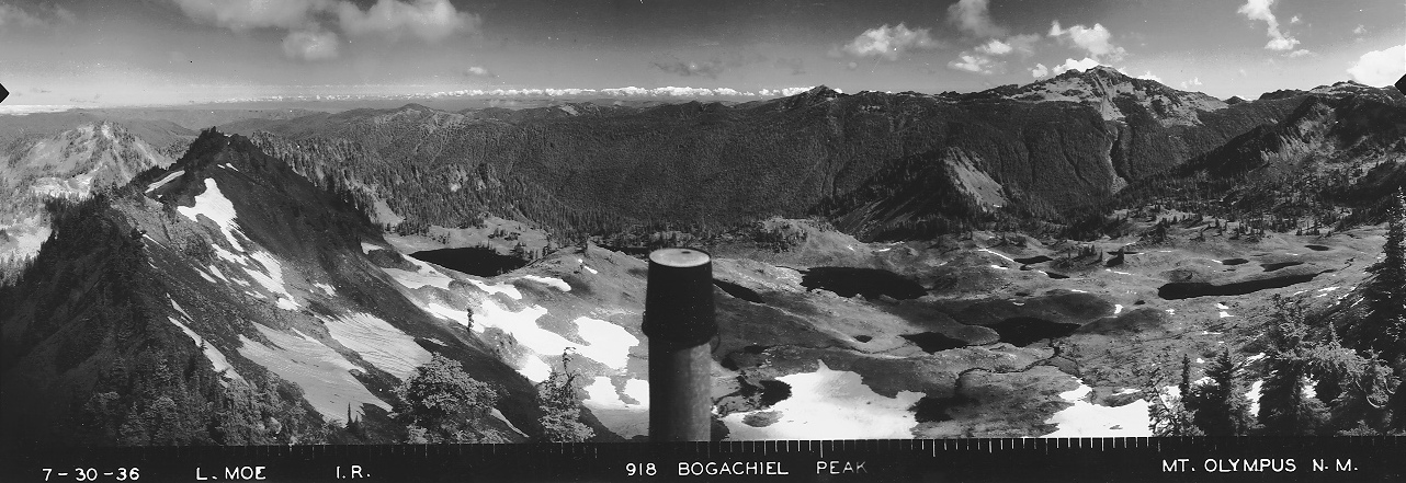 bogachiel peak