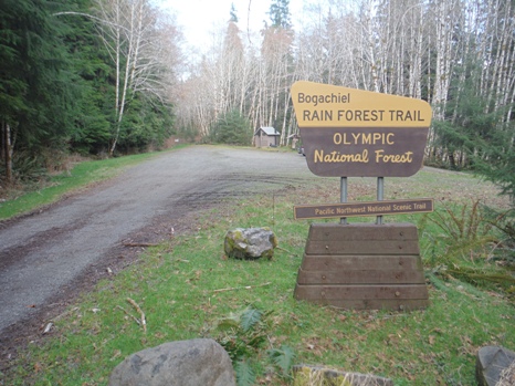 bogachiel trailhead