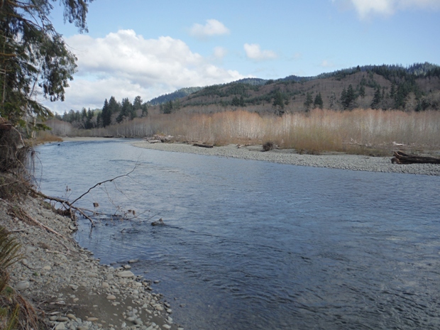 bogachiel river