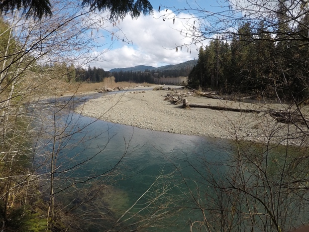 bogachiel river