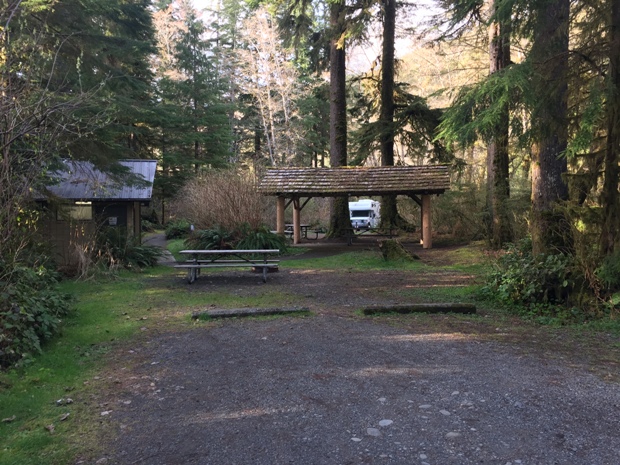 bogachiel state park 
