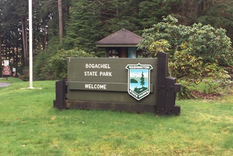 bogachiel state park 